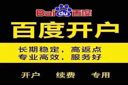 某大型平台开户返点效果评估报告
